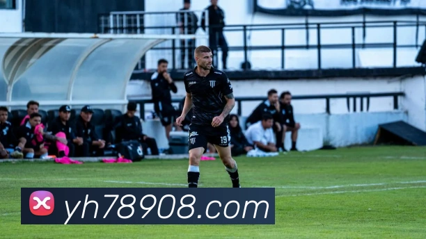 App Interface Preview